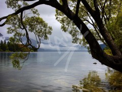 NEW ZEALAND Lake Wakatipu
